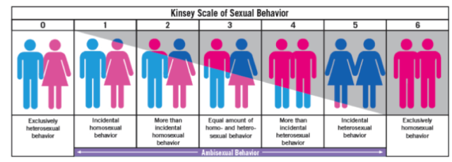 Echelle de McKinsey sur la bisexualité