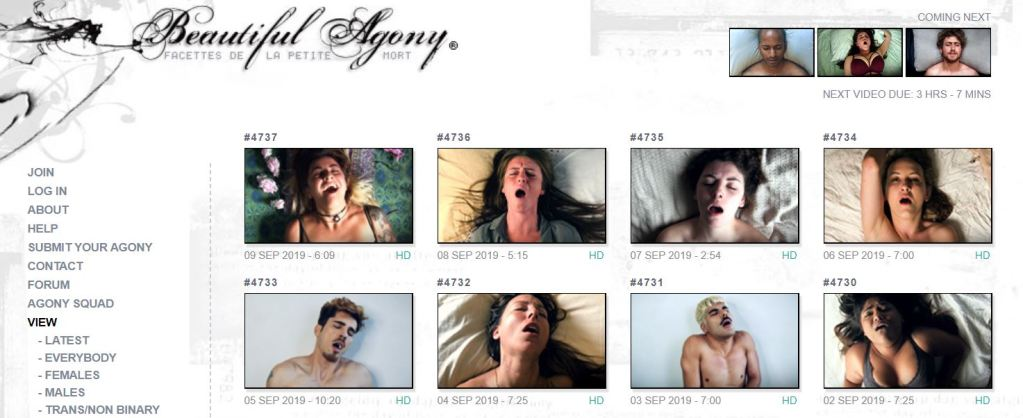 Capture d’écran de la page d’accueil de « Beautiful Agony »